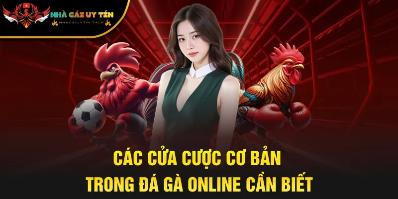 Các cửa cược cơ bản trong đá gà online cần biết