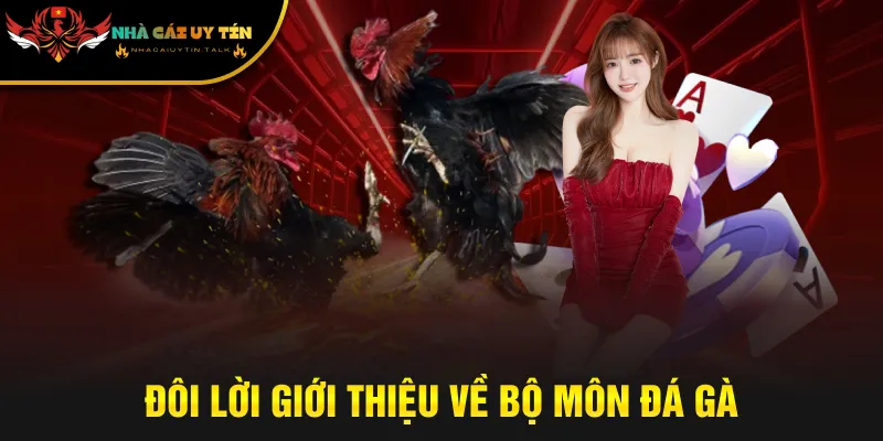 Đôi lời giới thiệu về bộ môn đá gà