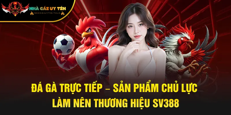Đá gà trực tiếp – Sản phẩm chủ lực làm nên thương hiệu SV388